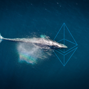 Top Ethereum whales are HODLing at an “impressive rate,” data finds