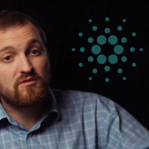 Cardano packs its schedule with new releases every week