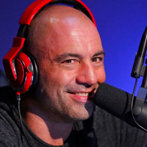 Joe Rogan says he uses crypto-based Brave Browser on the JRE Podcast