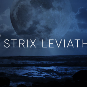 Strix Leviathan launches proprietary trading platform Octopus