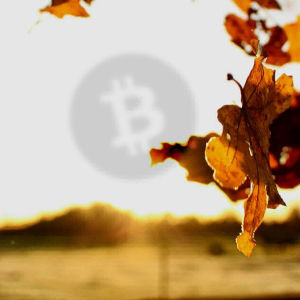 Analyst “surprised” Bitcoin Cash has escaped an attack after 30% hash rate drop, but BCH proponent hits back