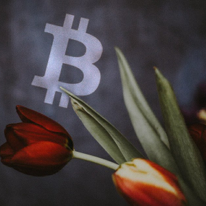 Craig Wright says there is a third Tulip Trust; what does this mean for Bitcoin?