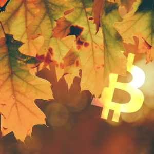 Bitcoin ETP volumes grew in October amidst institutional demand