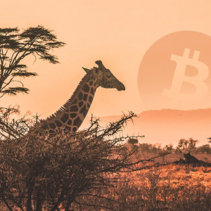 Google search trend shows Bitcoin most popular in Africa