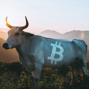 Synthetix founder calls Bitcoin’s weekly chart the “most bullish thing” he has seen