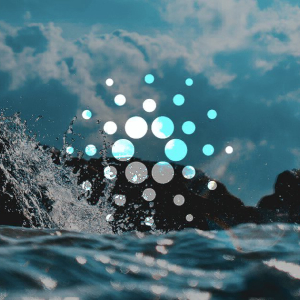 Charles Hoskinson : Cardano’s Pioneers will start testing Shelley Stakepool today