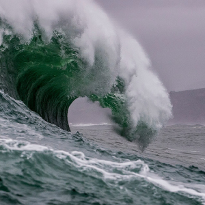 If any of these 3 crypto firms collapse, a “tsunami” will ensue: analyst
