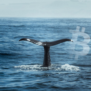 Bitcoin whale activity suggests July could be a great month for BTC
