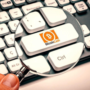 Bitcoin Cash (BCH) Chain Underwent Rogue Fork Due to ‘Normal Bugs’