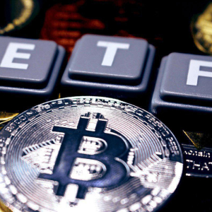 Bitcoin (BTC) Too Volatile for Its Own Good; Volatility May Hurt ETF Efforts