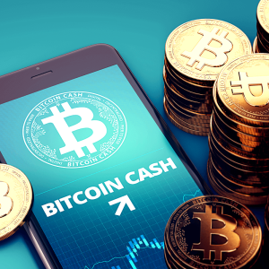 Bitcoin Cash (BCH) Price Rallies, Boosted by Bitcoin (BTC)