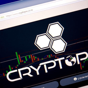 Cryptopia Rolling Out New Wallets ahead of Potential Reopening