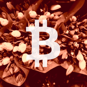 5 ‘Insanely Bullish Charts’ Show Bitcoin Is Beyond Tulip Mania, Says Crypto Insider