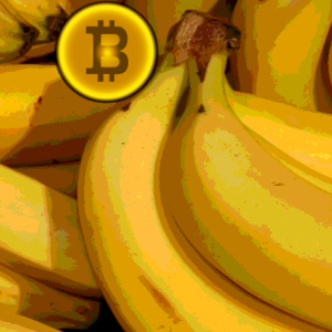 Rainn Wilson of The Office Quotes Mark Cuban: Asks for Bitcoin ‘Bananas’ and Crypto – BTC, ETH, LTC, BCH Accepted
