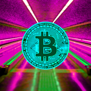 Crypto Trader Says Bitcoin Whales Triggered $12 Billion Crypto Surge – Plus Ripple and XRP, Ethereum, EOS, Cardano, Litecoin, Stellar