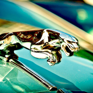 Jaguar Land Rover Offers Crypto Rewards in IOTA, Digital Asset Soars 20%