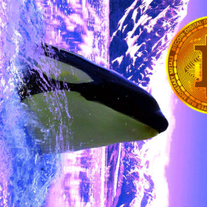 Bitcoin and Ethereum Whales Move Whopping $358,000,000 in Crypto As Ripple Transfers 55,000,000 XRP
