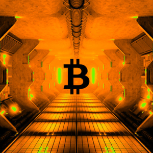 Bitcoin (BTC) Roaring Toward Exponential Bull Run, Says On-Chain Analyst Willy Woo