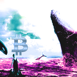 Top Crypto Analyst Says Massive $2,760,000,000 Bitcoin Whale Move Signals High Net Worth Investors Scooping Up BTC