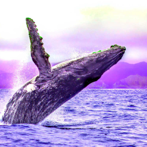 Mass Bitcoin Whale Migration Uncovered As $6,900,000,000 in BTC Sent to Smaller Wallets