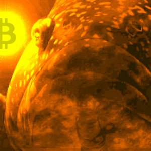 Bitcoin Whales Move $197 Million in BTC – Plus Ripple and XRP, Ethereum, Tron, Litecoin, Stellar