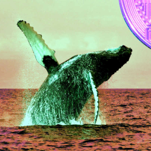 Crypto Whales Are Quietly Accumulating These Six Crypto Assets Amid Bitcoin Breakout