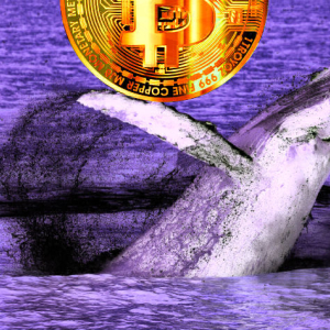 Bitcoin (BTC) Whales Rattle Crypto Markets As Analysts Warn of Potential Pullback