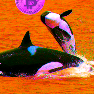 Two Bitcoin Whales Just Moved 31,099 BTC Worth $492 Million