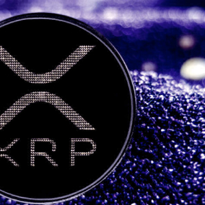 Ripple Executive: About 10% of Remittance Flow From US to Mexico Moving Through XRP