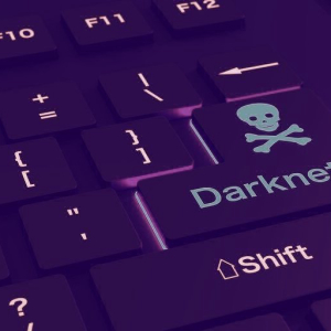 These Darknet Markets May Soon See More Bitcoin Flowing