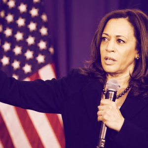 Kamala Harris VP team includes crypto friendly Sacramento Kings CTO