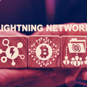 Wallet balances on Bitcoin's Lightning Network aren't private, new report says