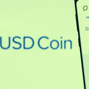 USDC Stablecoin Supply Is up 250% in 2020. Here's Why