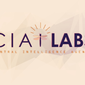 CIA Increases Blockchain Focus with Profit-Sharing R&D Lab