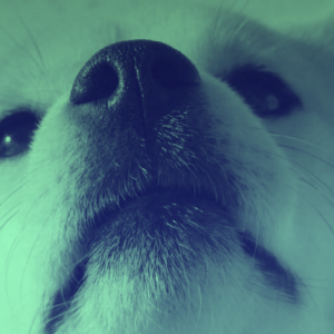 Dogecoin sees slight gains as it lands on Binance.US