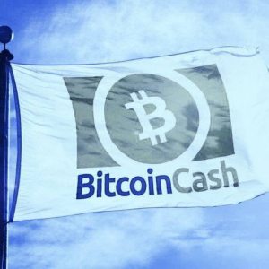 What is the difference between Bitcoin and Bitcoin Cash?
