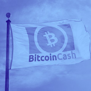 Why the Bitcoin Cash halving won't follow Bitcoin's example