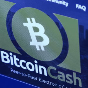 Price of Bitcoin Cash Jumps 12% The Day After Bitcoin Hits $24k