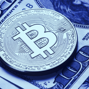 Bitcoin investors unfazed by price crash ahead of May 12 halving