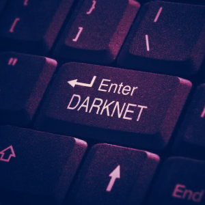Closure of Darknet Empire Market Believed to Be $30M Exit Scam