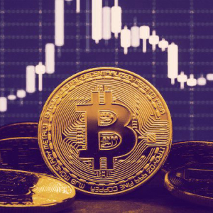 Bitcoin's price peaked at $11,300. But is the rally over?