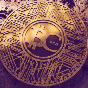 Bitcoin Cash Hard Fork: What You Need to Know
