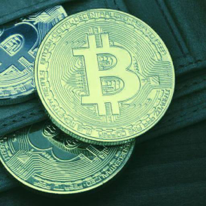The Best Bitcoin Wallets: Hardware, Software and Mobile
