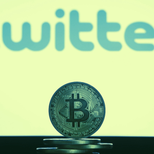 Twitter is going gaga for Bitcoin pre-halving