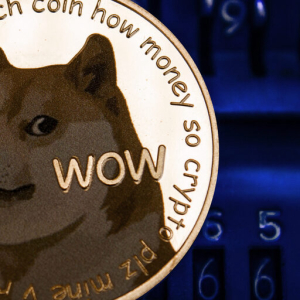 Viral TikTok video boosts the price of Dogecoin by 20%