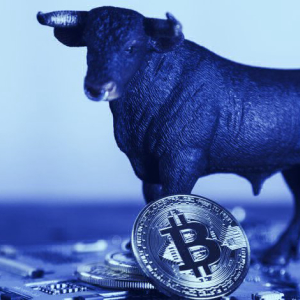Canada’s Bull Bitcoin preps for halving, coronavirus economic crisis
