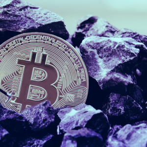 Bitcoin mining farm buys up 17,600 miners—despite the halving