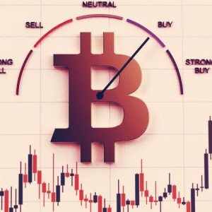 Bitcoin ‘Greed’ Hits Yearly Highs As Investors and Celebrities Pour In