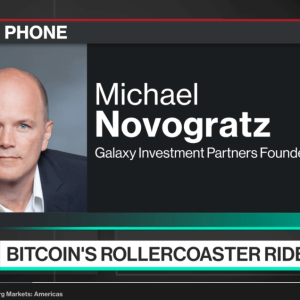 Bitcoin (BTC) At $20,000 By Year End Then Opens Up $40,000 Says Novogratz