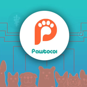 Pawtocol Launches its First IEO on the ProBit Exchange